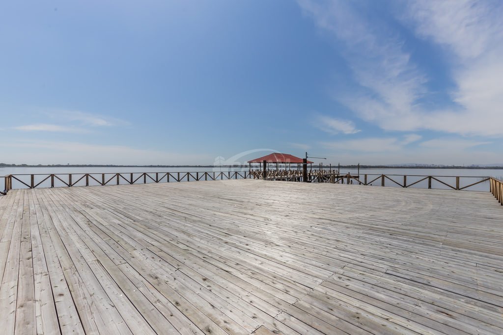 14_pier_area_nautica_2.jpg